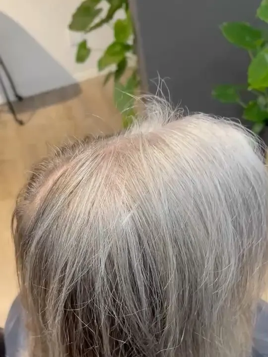 Silver highlights blended through a grey crown, seen from above.